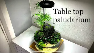 Nano Paludarium aquascape tutorial step by step, table top fish tank with DIY filter and water flow.
