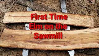 First time slabbing up Elm on the sawmill, looks and smells great!