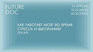 Лекция «Как работает мозг во время стресса и выгорания?»