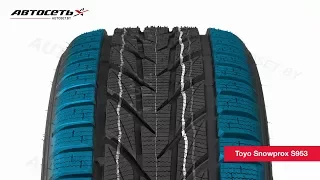 Обзор зимней шины Toyo Snowprox S953 ● Автосеть ●