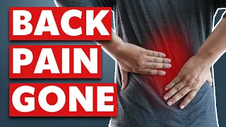 Watch these 93 minutes if you want to overcome your Lower Back Pain (compilation)
