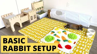 Basic Rabbit Setup | What You Need