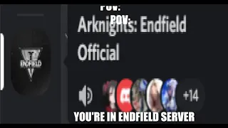 pov: you're in endfield discord server