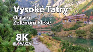 Green Lake Cottage - High Tatras Mountains - Tatranska Lomnica 🇸🇰 8K Slovakia