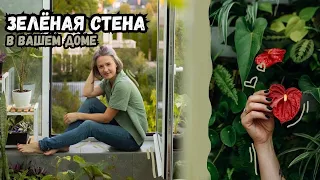 Зелёная стена в вашем доме / Как ухаживать / Что учесть / Как озеленять стены в доме