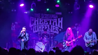 Gypsy Lullaby - Screamin' Cheetah Wheelies - 2023 Madrid