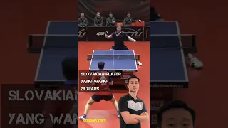 Ultimate Stylish Defense by Yang Wang || Table Tennis || Informative ||#tabletennis #popular #viral