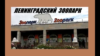 Ленинградский зоопарк (Зоопарк в Санкт-Петербурге) 22.07.2020