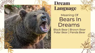 Meaning Of Bears In Dreams | Biblical & Spiritual Meaning Bears|  Black, Brown, Panda , Polar Bear