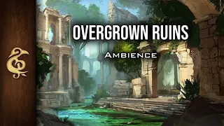 Overgrown Ruins | Mysterious Jungle Ambience | 1 Hour #dnd