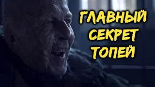 ЧТО НА САМОМ ДЕЛЕ ПРОИСХОДИТ В ТОПЯХ? ГЛАВНЫЕ ТЕОРИИ