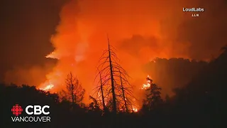 How does climate change bring both floods and forest fires? | Science Smart