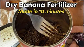 Dry potassium fertilizer in 10 minutes from banana peels.