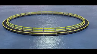 Marine Cage Aquaculture | LESSO