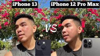 iPhone 13 or iPhone 12 Pro Max? Which is better? | Camera Comparison (How Big is the Difference?)