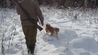 ПОСЛЕДНИЙ ДЕНЬ В ГОРНОМ АЛТАЕ