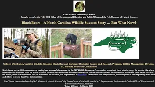 Lunchtime Discovery Series: Black Bears: A North Carolina Wildlife Success Story…But What Now?