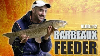 #Pêche du #Barbeau au #feeder, quels appâts choisir ? Episode spécial barbeaux