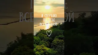 Я скучаю по тебе всей собой #скучаю #тебе