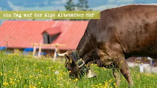 Ein Tag auf der Alpe Altstädter Hof