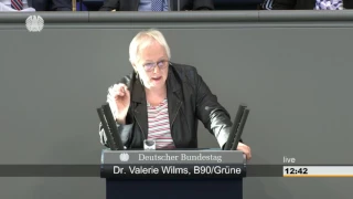 Valerie Wilms: Neuregelung des bundesstaatlichen Finanzausgleichs [Bundestag 01.06.2017]