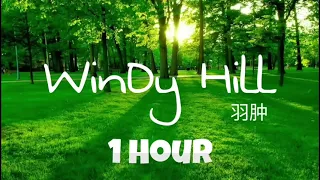 WINDY HILL || NHẠC THU HÚT TIỀN BẠC THỊNH VƯỢNG!/NHẠC TĨNH TÂM - ĐỌC SÁCH - LÀM VIỆC - THƯ GIÃN!!