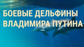 Россия готовится к боям за Крым. Пригожин обвинил Шойгу во лжи. Запрещенный стрит-арт в РФ | ВЕЧЕР