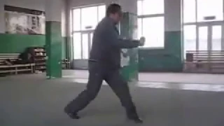 砸势锤 Za shi chui form by Master Yang Fan sheng 杨凡生 Che shi Xing Yi quan