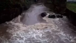 The Brothock Burn (Arbroath)