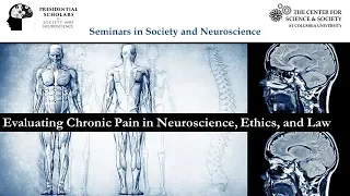 Evaluating Chronic Pain in Neuroscience, Ethics, and Law - Introduction