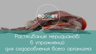 Растягивание меридианов: 6 упражнений для оздоровления организма  | Econet.ru