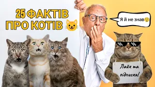 25 цікавих фактів про котів😺🙀😼