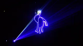 2W 3W RGB Full Color Animation DJ Laser Light MS-L2
