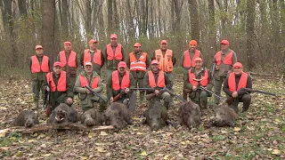 Hunting Serbia - Lov divlje svinje u lovištu Hrastovača kod Kostolca | Wild boar hunting FULL VIDEO