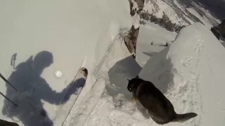 Dog drops into Corbets Couloir and Stomps it!