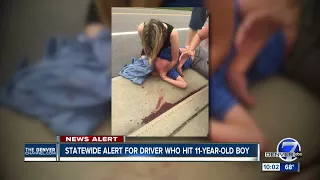 Douglas County deputies look for driver who hit 11-year-old boy, drove off