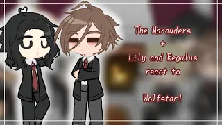 The Marauders + Lily and Regulus react to Wolfstar | Some angst | Themoon.Mystar