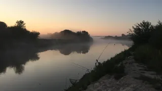 Фідер на р.Горинь. Підійшла на корм риба. Судак на живця. Частина 2