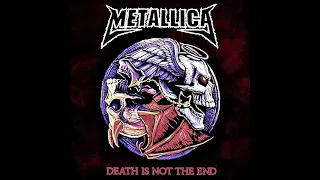 What if Death Is Not The End was another Death Magnetic song?