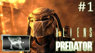 Aliens versus Predator 2010 // За хищника // Часть 1