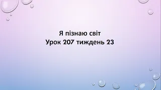 Я пізнаю світ (урок 207 тиждень 23) 2 клас "Інтелект України"