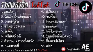 รวมเพลงฮตใน TikTok มองใจ + ฉนมนเปนคนแบบน + วาสนาผใด เพลงใหมลาสด2024 ฟงเพลนๆ