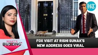 Fox spotted at UK PM's official residence; 7-year-old financial guru | WHAT'S BUZZING