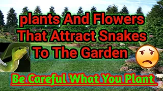 Plants & Flowers that Attract Snakes to the garden? Be careful about what you plant