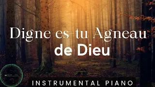 Digne es tu Agneau de Dieu: Adoration Instrumentale