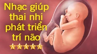 Bản nhạc hay nhất cho thai nhi nghe để phát triển trí não toàn diện - Phần 2 [GiupMe.com]