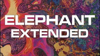 Elephant Extended - TAME IMPALA