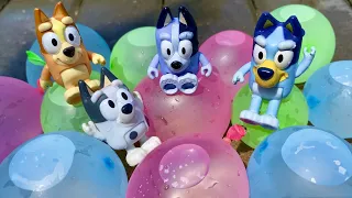 Bluey toy Water Balloons - Muffin madness water fun splash