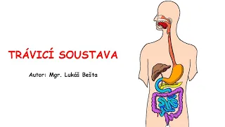 Trávicí soustava - játra, slinivka břišní, choroby TS