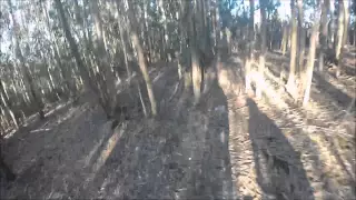 Btt Lapedo